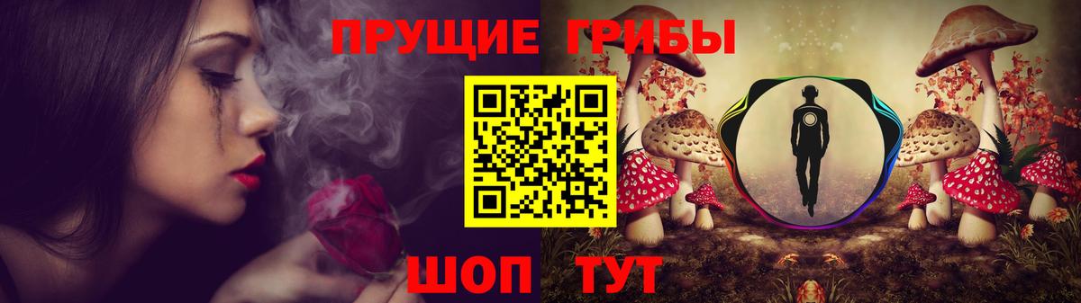 Чехов  Псилоцибиновые грибы мухоморы  Вход с VPN 